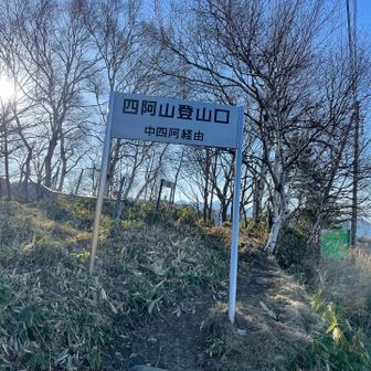 スタート🏃‍♀️