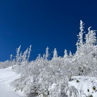 澄んだ青が美しい✨