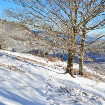 元スキー場だけあって雪質は抜群
深い所で30cmほど
キュッ、キュッと乾いた音が気持ちいい