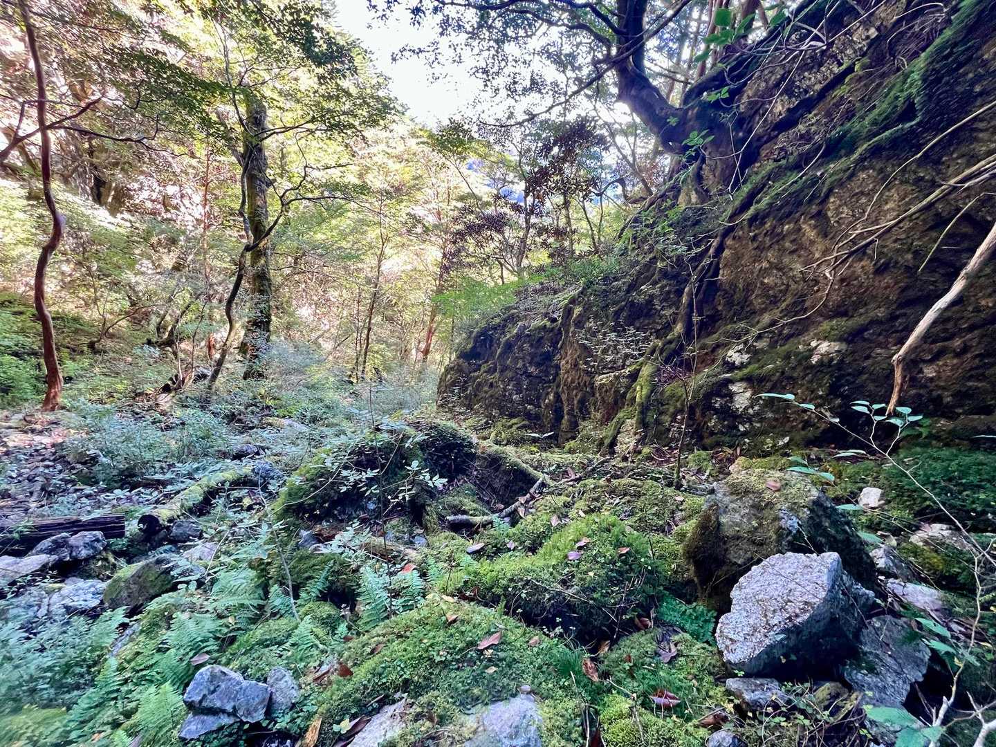 深山幽谷(しんざんゆうこく)とは⁇

ほとんど人跡未踏のような 奥深い自然の地…