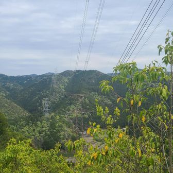 ⛰️近江百山⛰️ 猪背山・黒山 / araiotouの登山データ | YAMAP