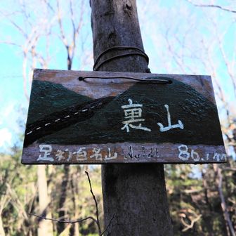4座目　裏山
道はよく分かりませんでした。
山頂まで短いし緩やかなのでどこからでも！
適当におりていたら間違った方向に😅
方向音痴🤣
道があったので地図を見ながらおりましたが、もしかして民家に入っちゃったかも？！ごめんなさい😖