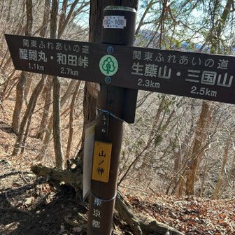 山ノ神ここにおわす
巻道あるけど登っちゃう🤣