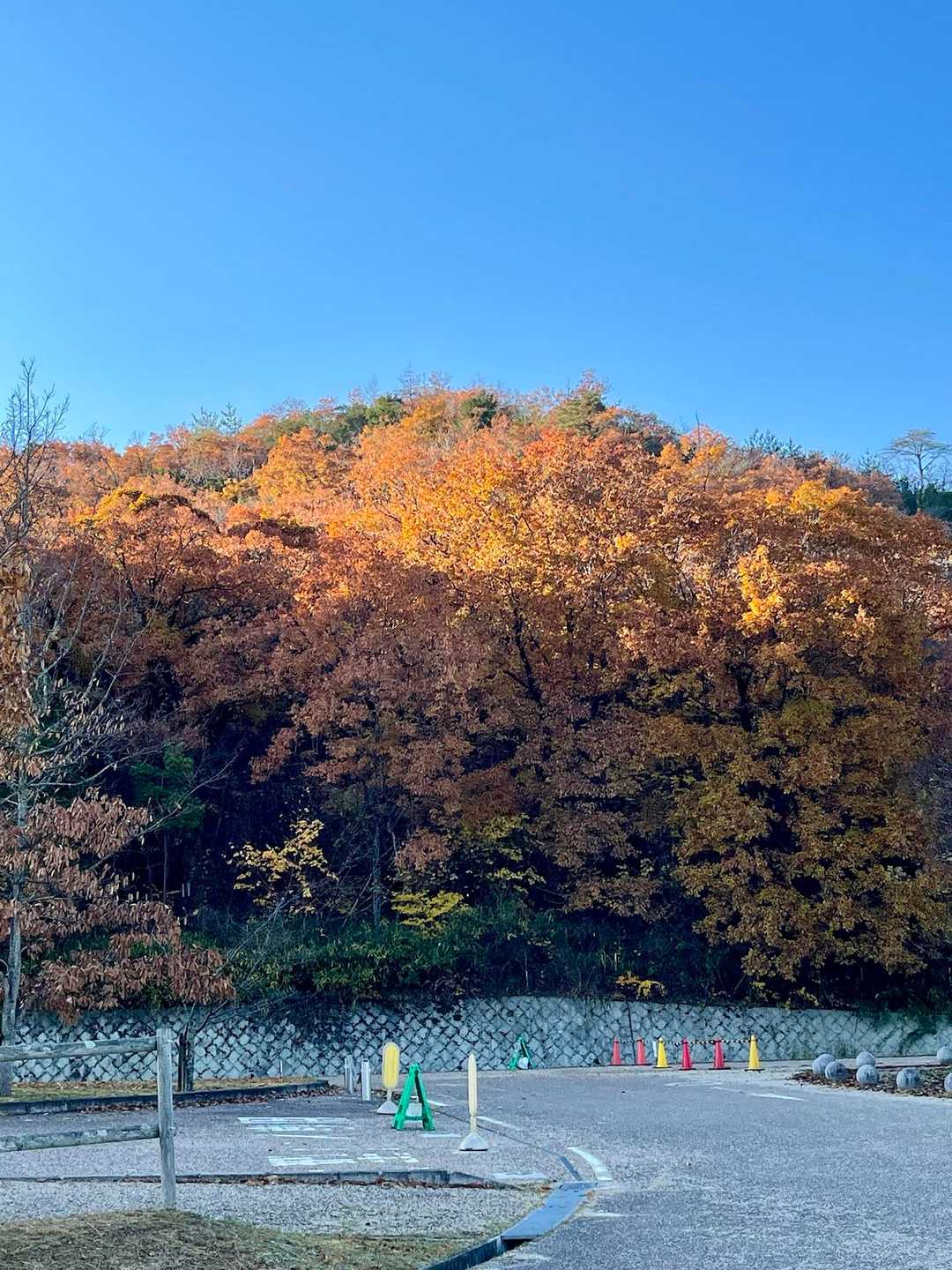 加茂山⛰️