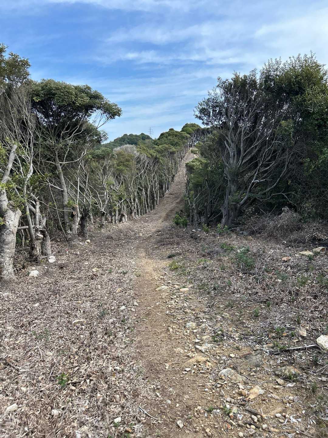 雄鷹台山登山口-雄鷹台山-後山 往復コースの写真