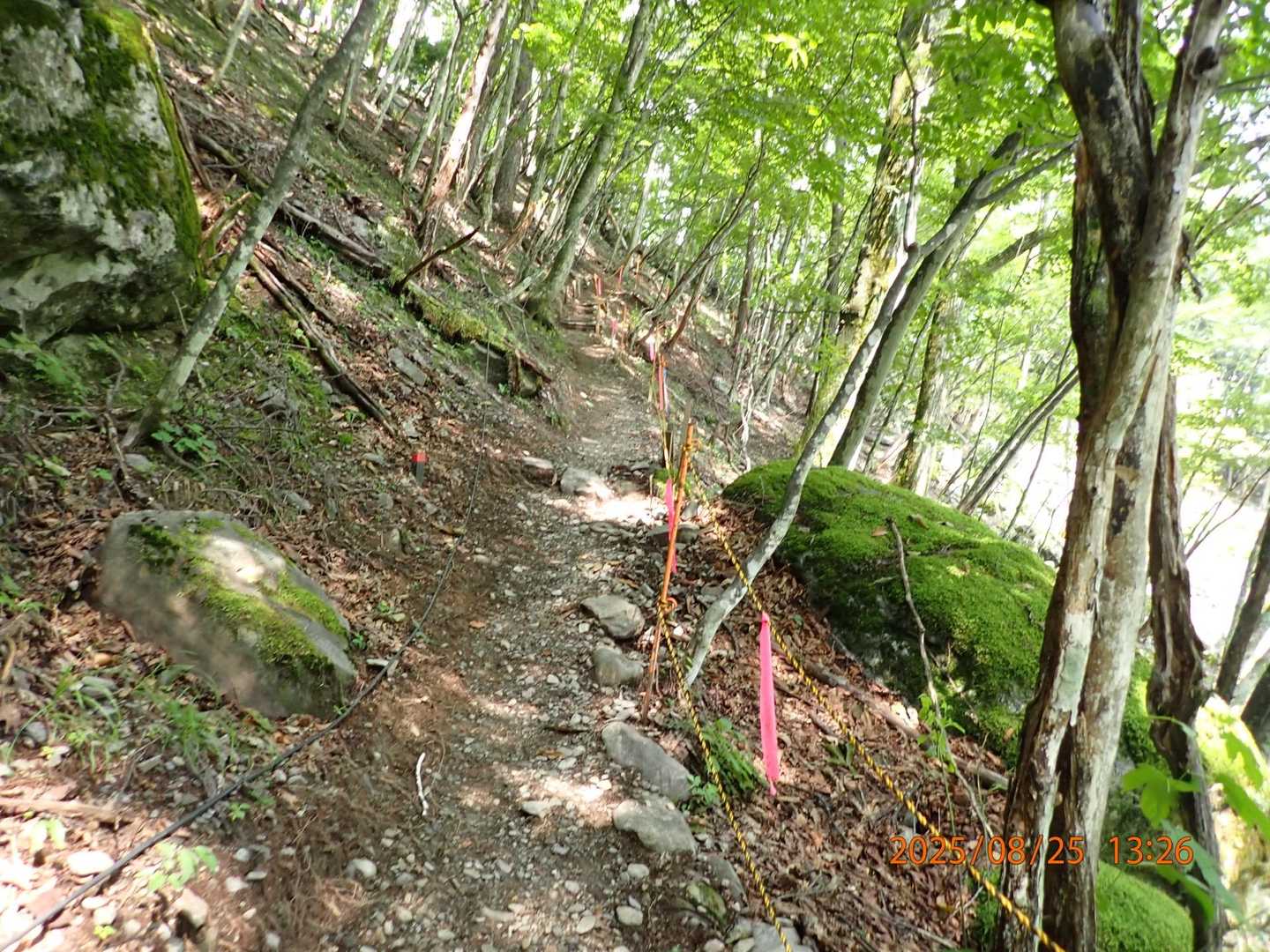 林道に出たと思ったら、また登山道だと‼️
最後の登り😂

新穂高温泉登山口の鍋平の登山道のような心境に近い😩まーそこまで大変じゃなかったが…