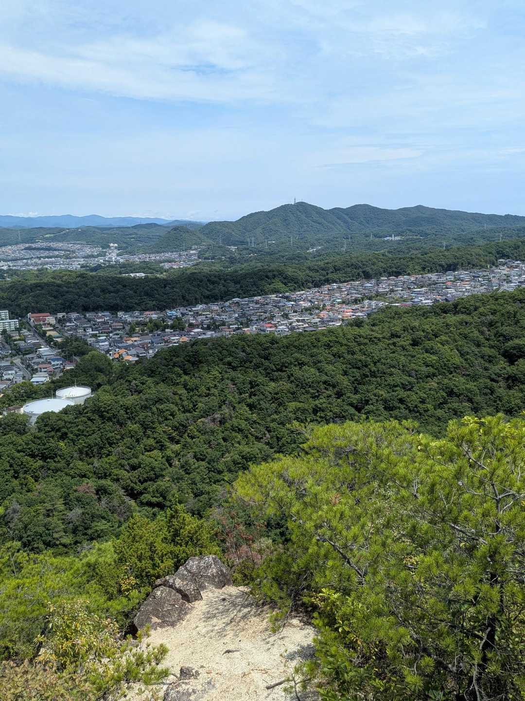 有野アルプスだけは、ええ風が吹いて気持ちよく小休止🌬️
太陽と緑の道の森コース🫡