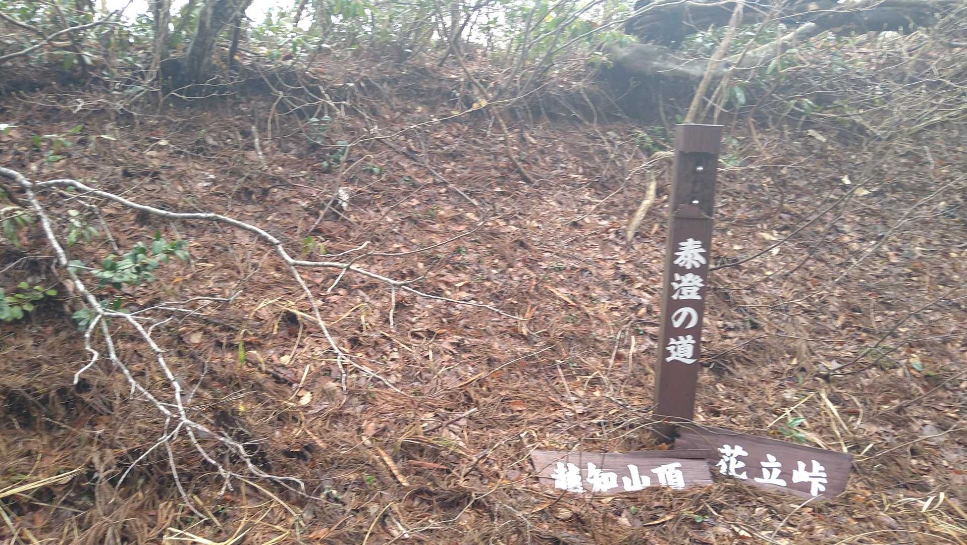 花立峠-雀ヶ峠-小六所山-六所山 往復コースの写真
