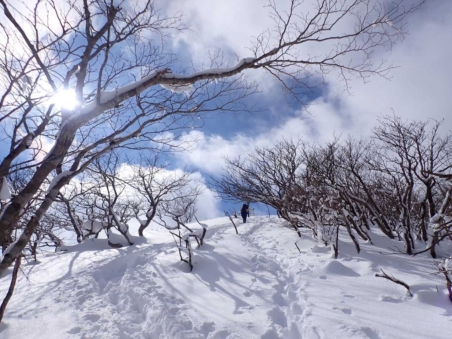 登山者が絵になります