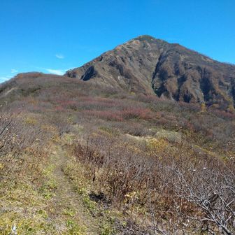 一気に400mほど高度を下げ、鞍部から影火打を仰ぐ。
普通に日帰り登山で登るような高度を、これから登らなければならない。
今日はやたら息がきれる。この時点でかなりバテ気味。おかしい。