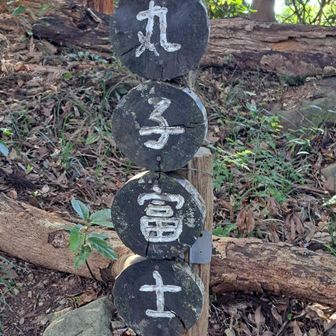 初　丸子富士