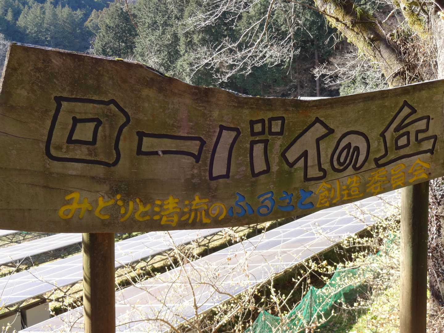 今日も無事でした🙏