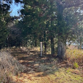 まずはここから降ります
そうなんです
山頂の駐車場に車を置いたため、まずは下るのです😂