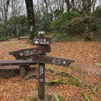 めちゃくちゃ丁寧に道標があるので迷うことはないかと。