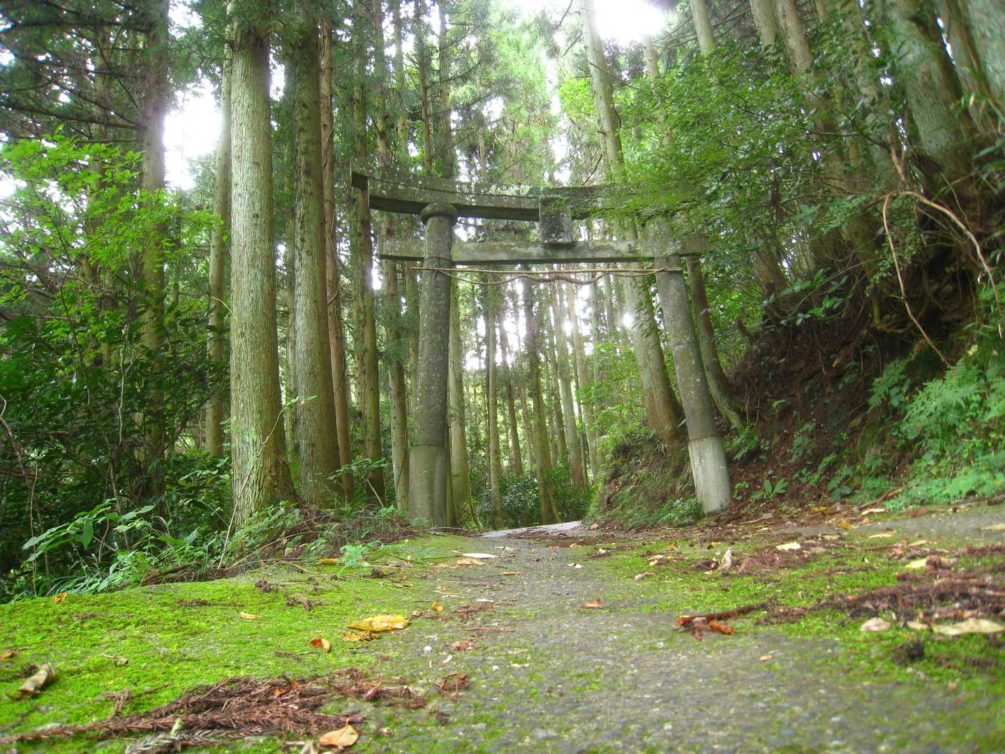 熊群神社駐車場から出発します。
出発時の気温は24℃です。