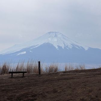 階段を上り切った後の富士山が1番大きく見える🗻