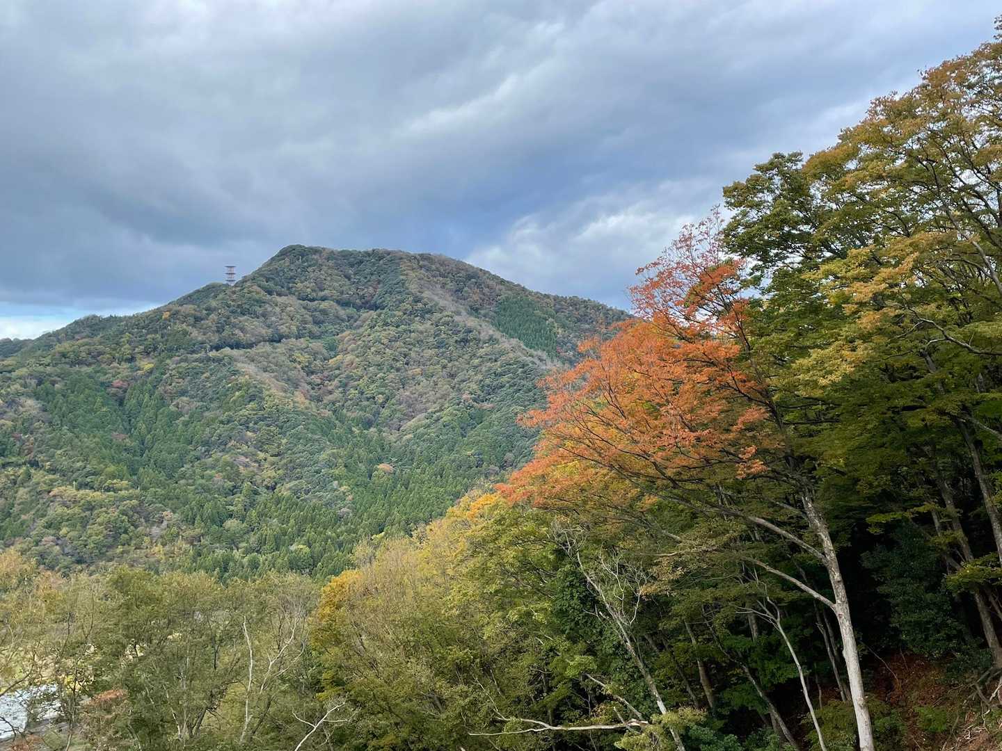 城山 往復コースの写真