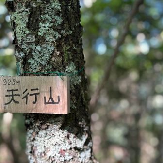 山頂手前は勾配きつめ