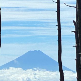 雲の上に頭を出した富士山