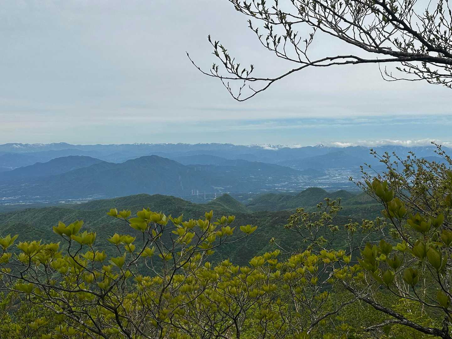 荒山山頂から
苗場山方面
それでは、一旦、荒山高原まで戻ります