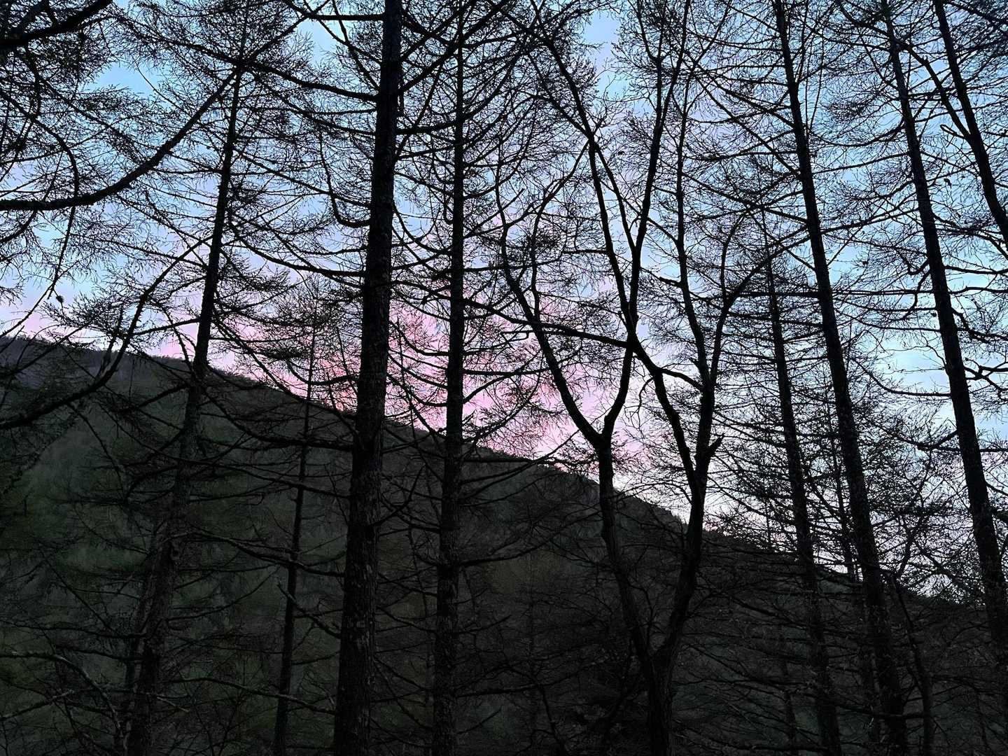 八ヶ岳南麓滞在最終日の朝。

当初は3:30頃のスタートを考えていましたが、原村での熊出没のニュースに怖くなり、1時間遅れで観音平をスタート🧸

アトノ尾根の上、朝焼けが綺麗でした✨