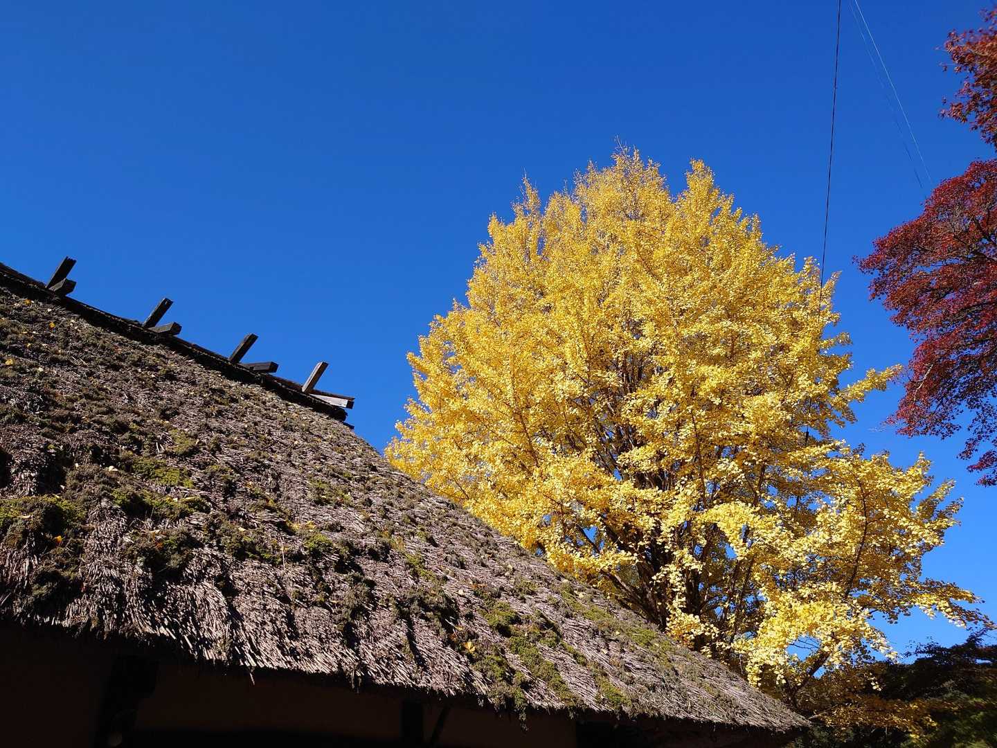 香積寺-飯盛山-飯盛山登山口 周回コースの写真