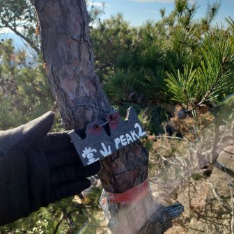 ニセ頂上にPEAK２って名称がついてた。