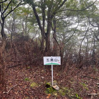 ここまでは快適な縦走路