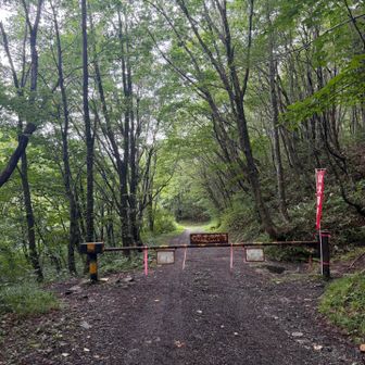 ゲート着
この先林道から分かれ山道に入ります