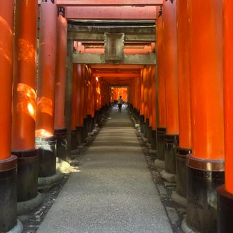 千本鳥居⛩️