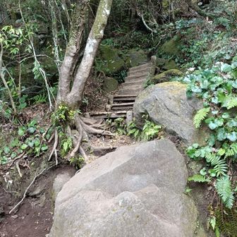 階段も多数。流石は百名山。