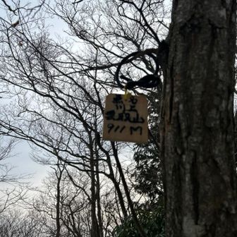 本日ラストの3座目、ここがYAMAPピークです