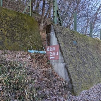 登山口着です。
最初の方は落ち葉が多く、あまり登山者もいないので、ふかふかしてます。