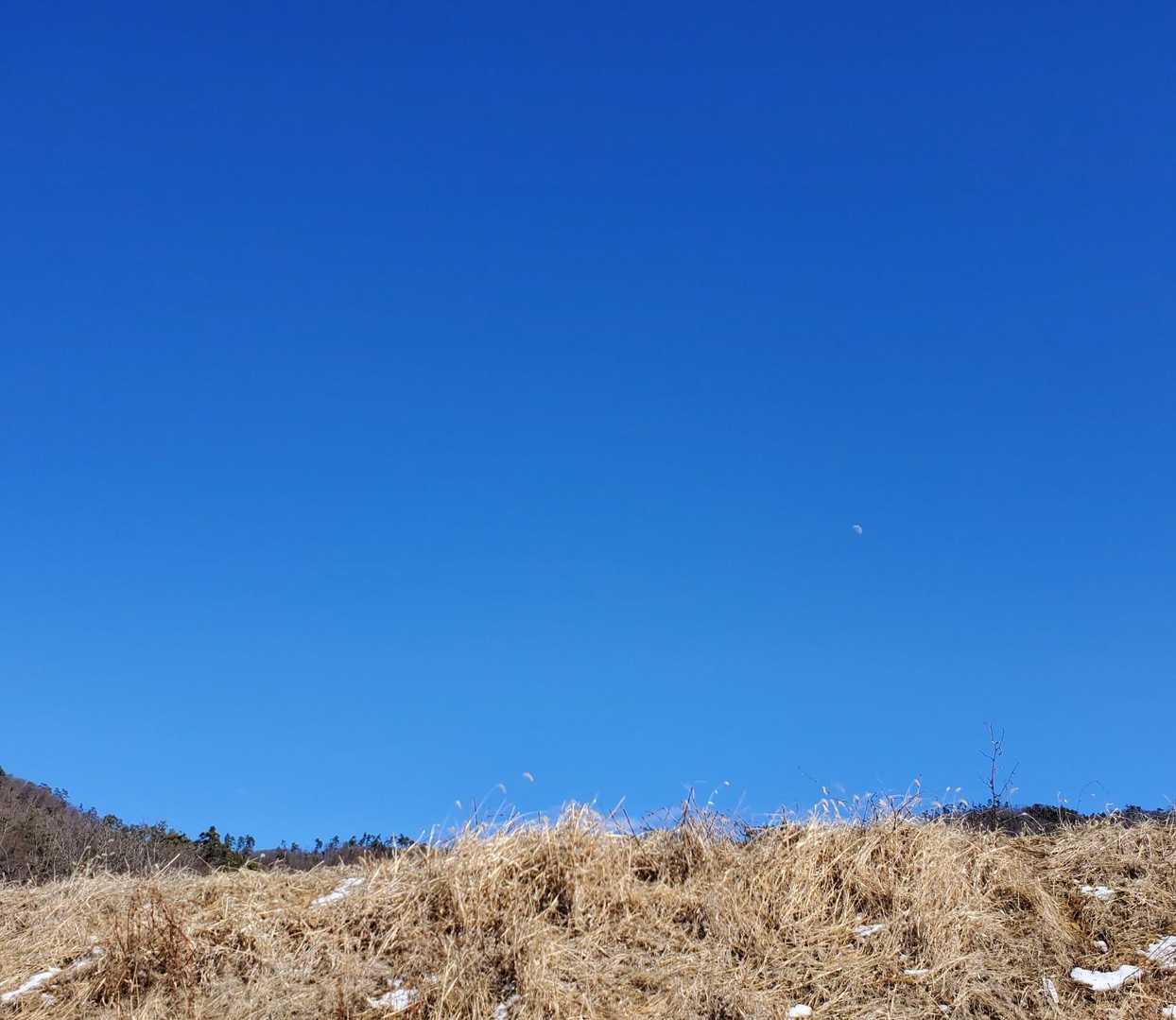 そして青空とお月さまが🌛