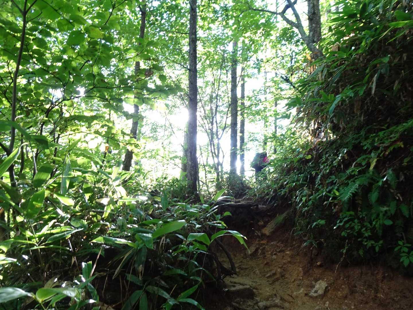 燕岳登山口-第1ベンチ-第2ベンチ-第3ベンチ-富士見ベン 往復コースの写真
