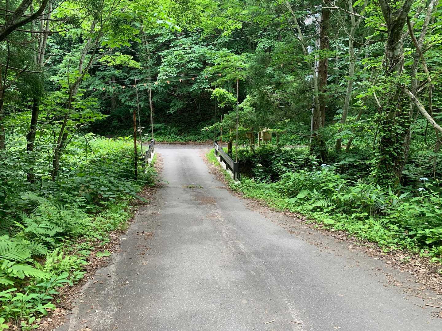 下山しました！素敵な登山でした⛰️