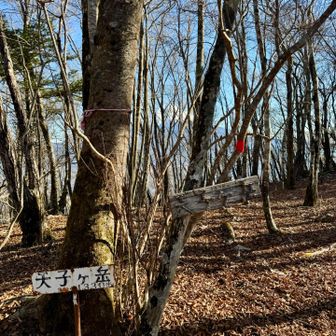 天子ヶ岳まで足を伸ばす
景色は木々で富士山綺麗に見えず