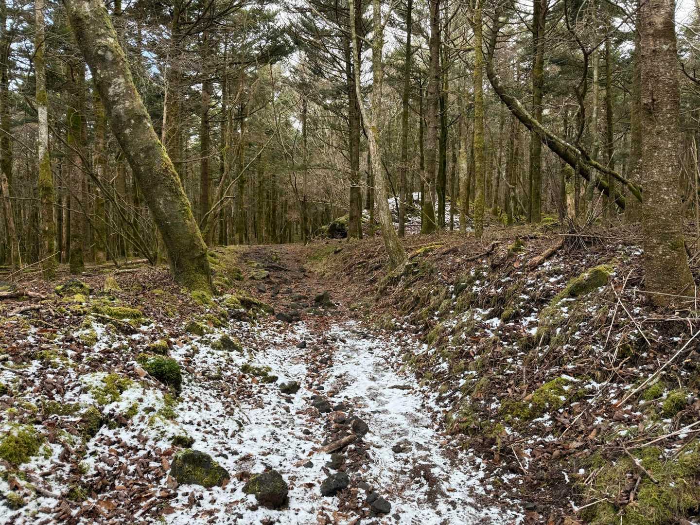 最初は雪なし
