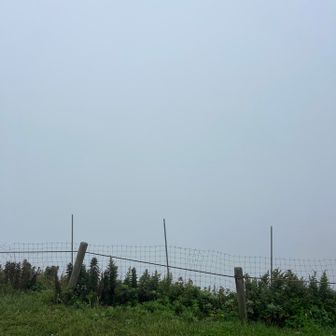 全く眺望なし