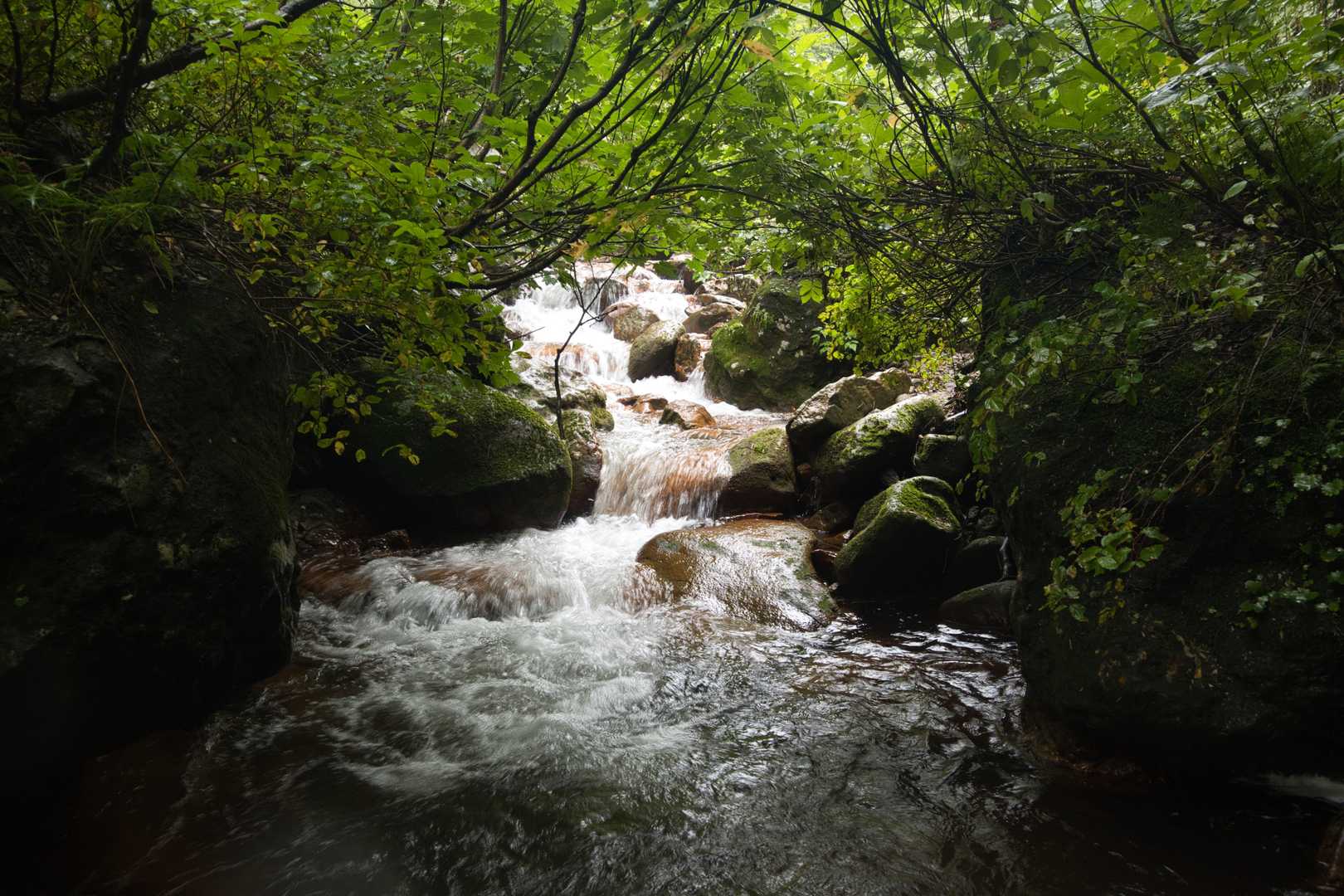 ほとんどの渡渉は脛〜膝くらいの水深でした👍
