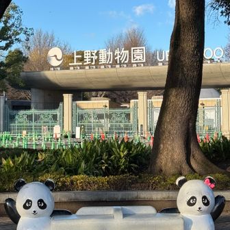 上野動物園🐼
間も無くお別れですね😭