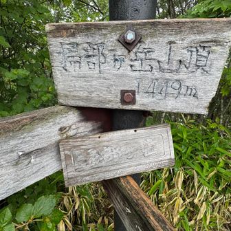うんうん。山頂標識はこれくらいシブい方が味があって良いかも👍