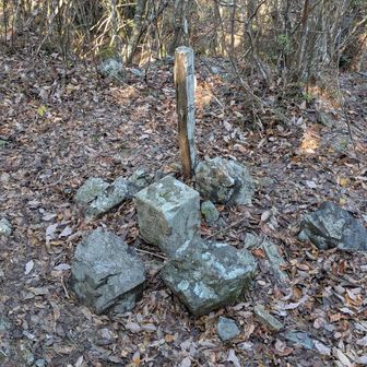 宇治岳道の外れに三角点。途中で多分猟犬なのかな、けっこう吠えられます。