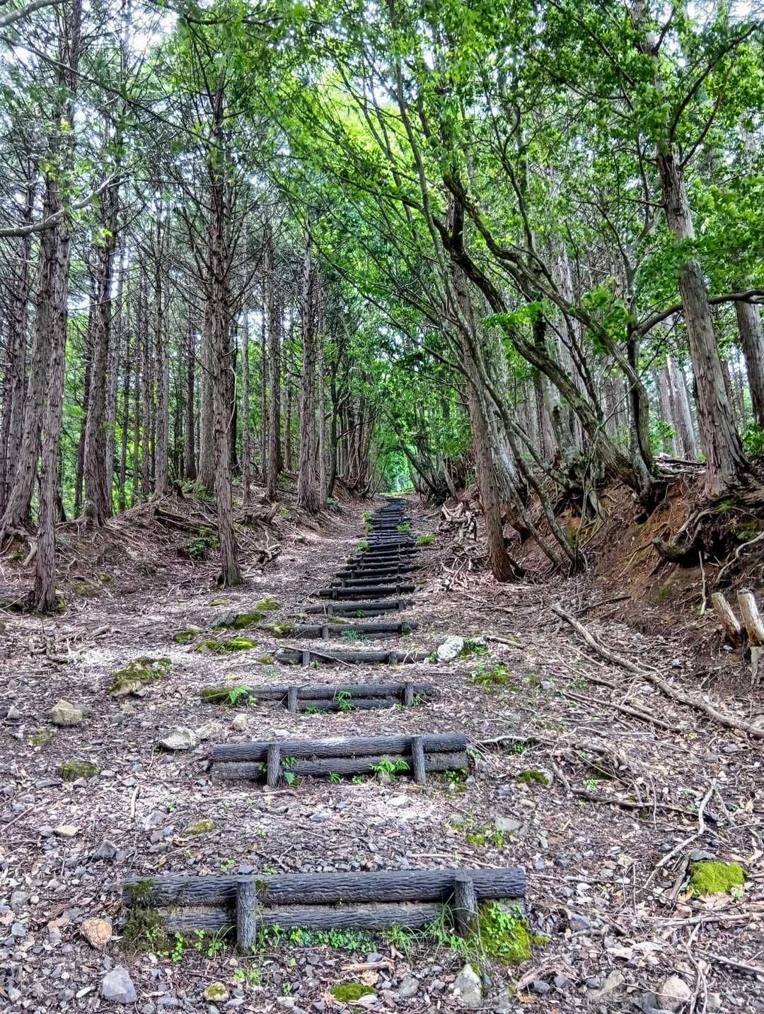 長い長い階段道💦