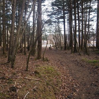 戻ってきました〜