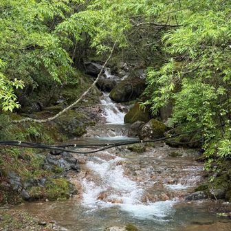 水が綺麗！
雨が気持ちいい！