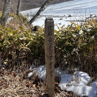 沼のほとりを歩くの初めてかも