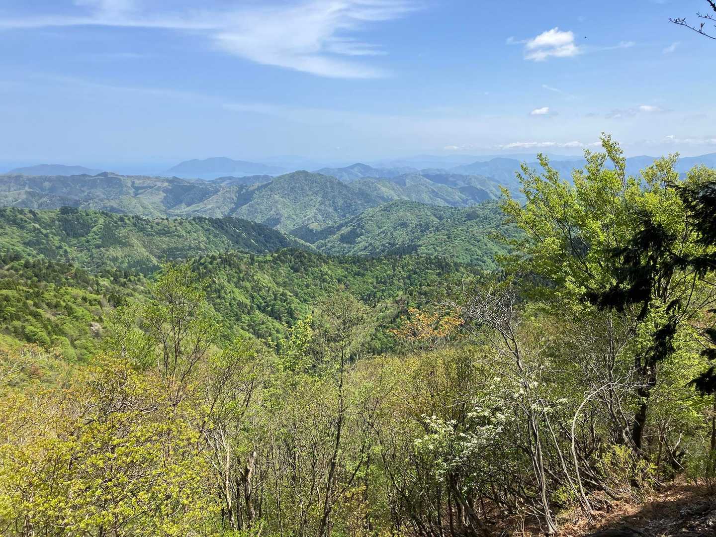 参道尾根登山口-頭巾山 周回コースの写真