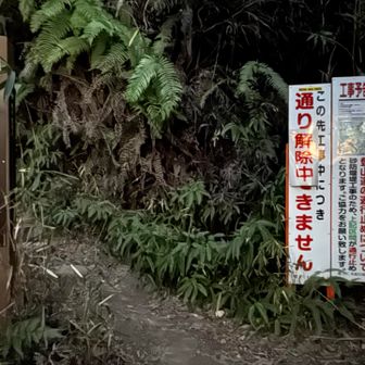 芦屋駅スタートして約20分で
登山口につきました。
寒いかと思いシェルの下に
フリースとダウン着てましたが既に汗だく笑
ここからはシェルもフリースもダウンも脱いで
Tシャツで登ります。