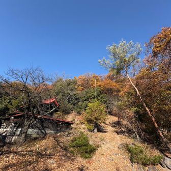 参拝し、山神宮方面より